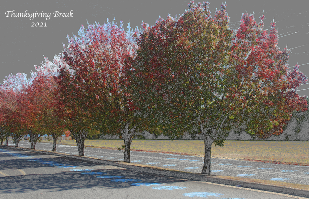 APSD Thanksgiving Break