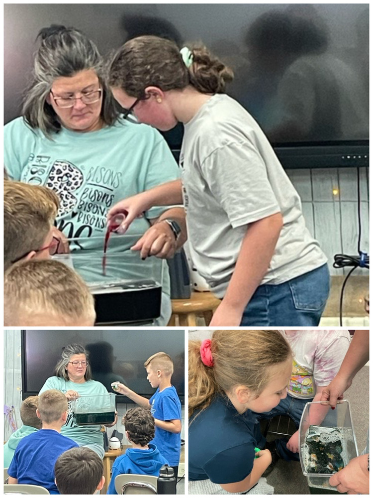   Fourth Grade Environmental Day 