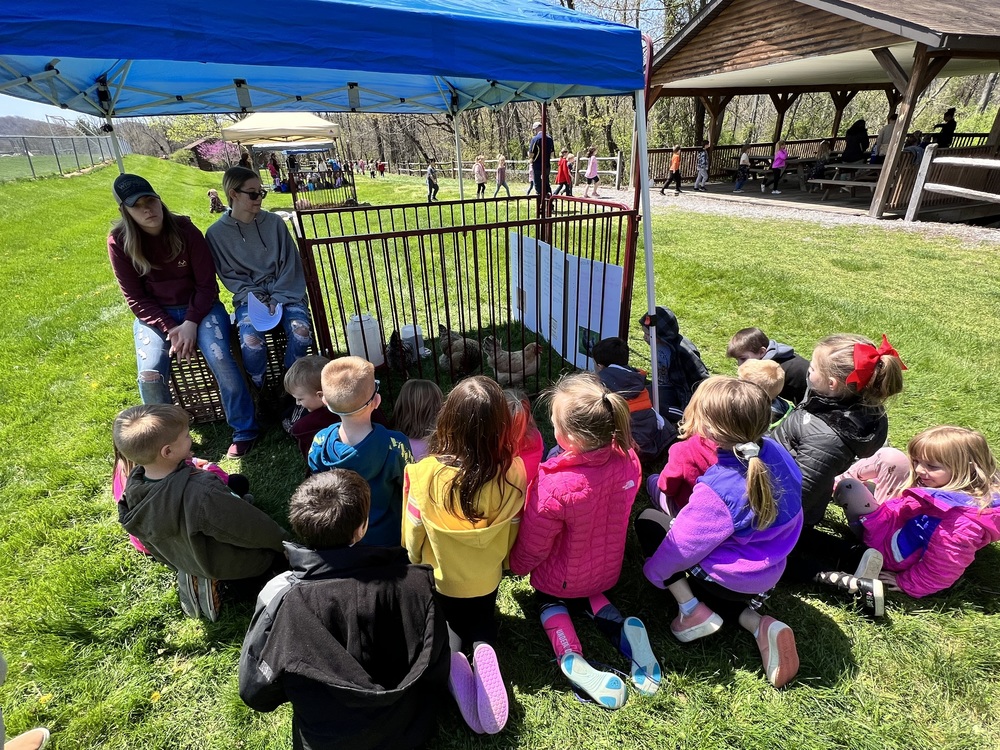 kids looking at chickens