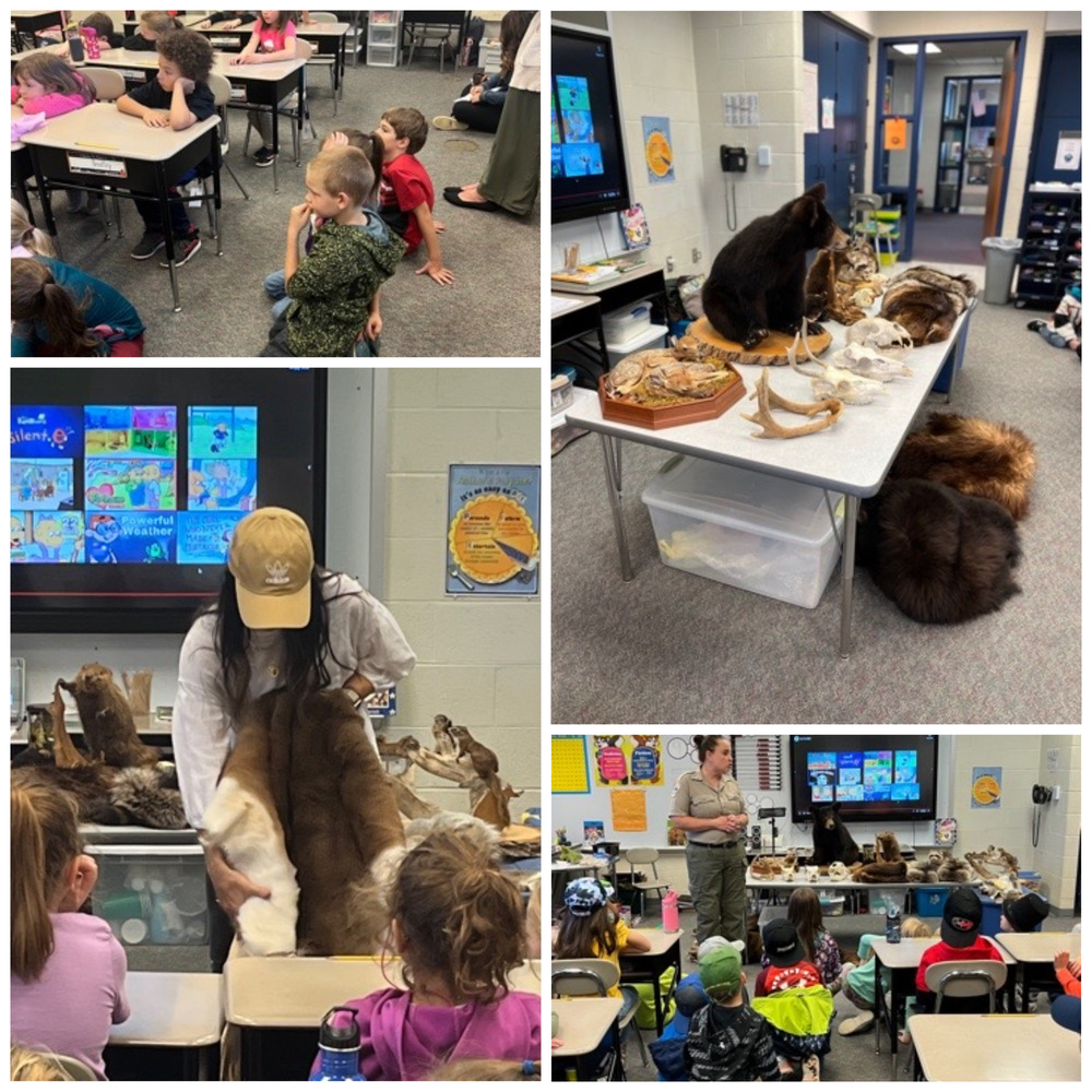 First Grade Enviromental Day 