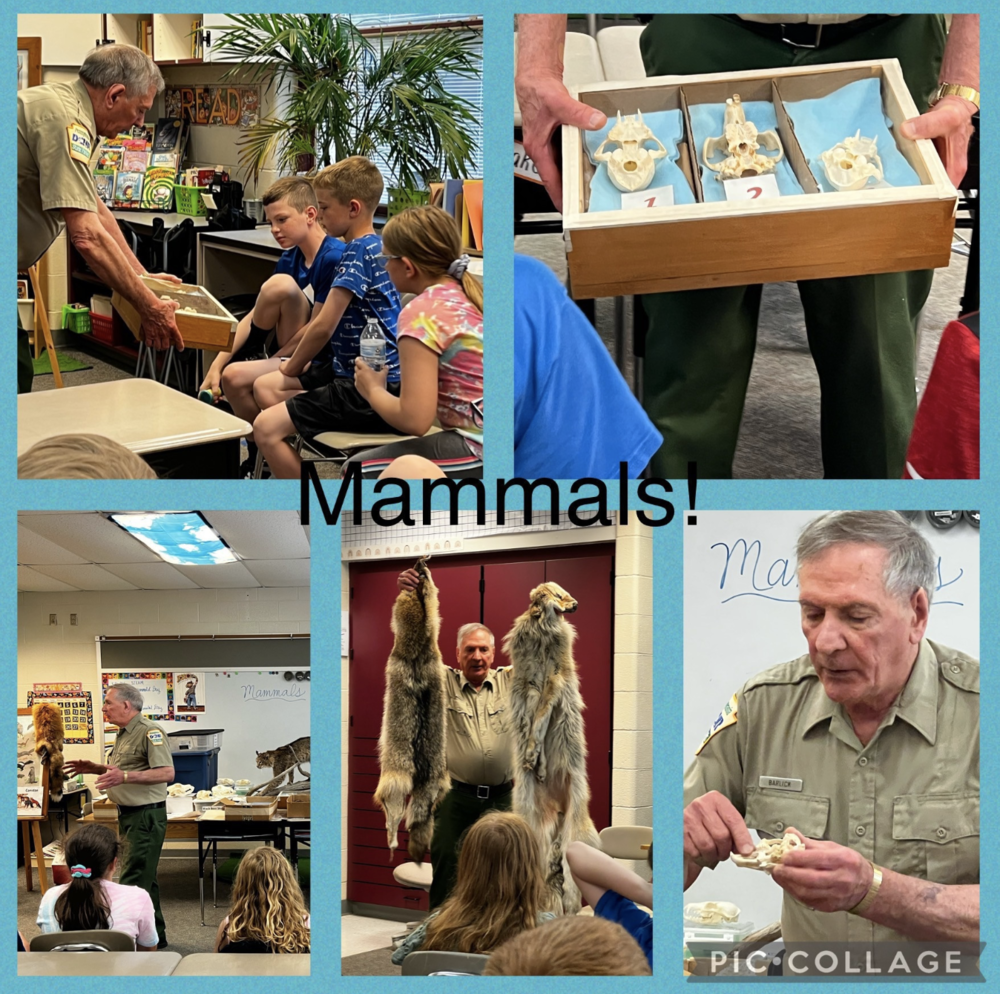 teacher showing mammels to students