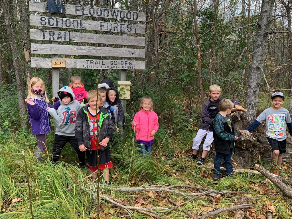 School Forest Log Hotel Exploration
