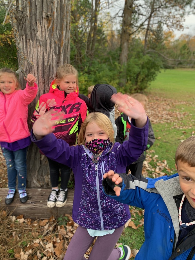 School Forest Log Hotel Exploration