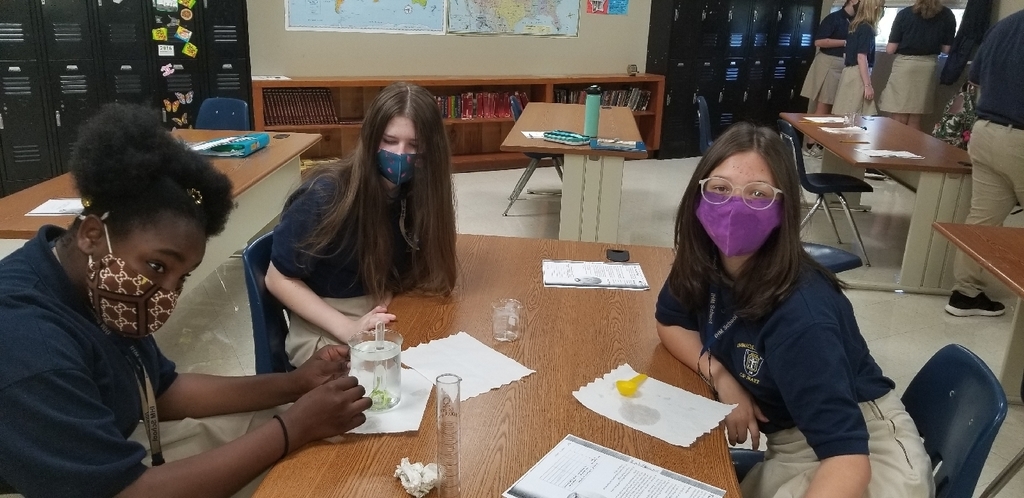 this group did an excellent job setting up their lab
