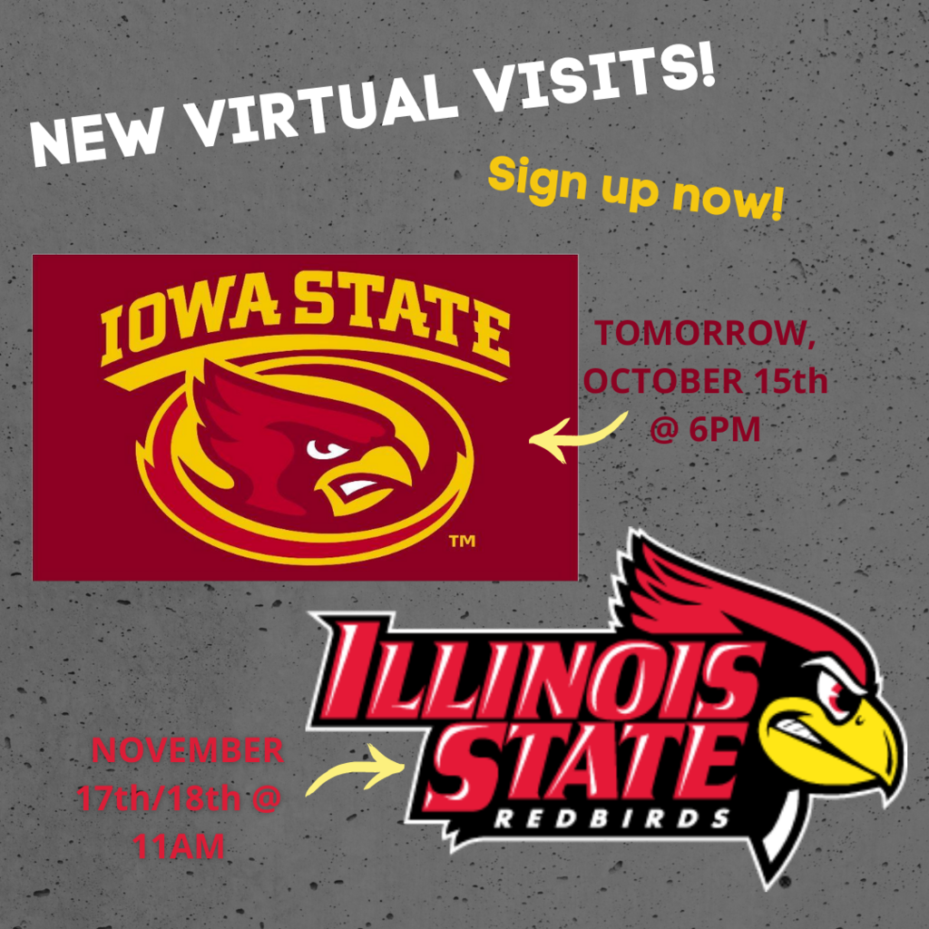 Virtual Visits