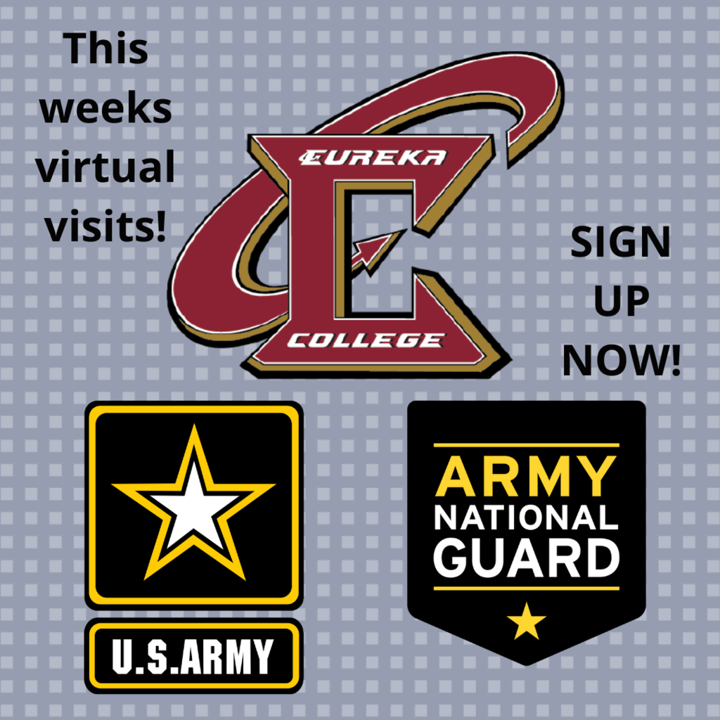 Virtual Visits