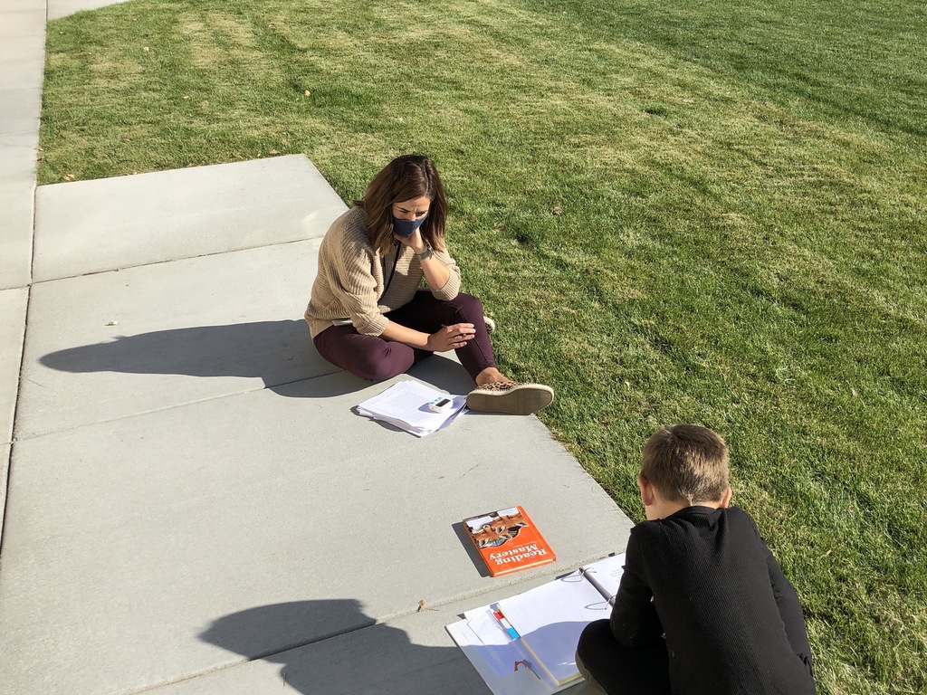 Reading in Hybrid