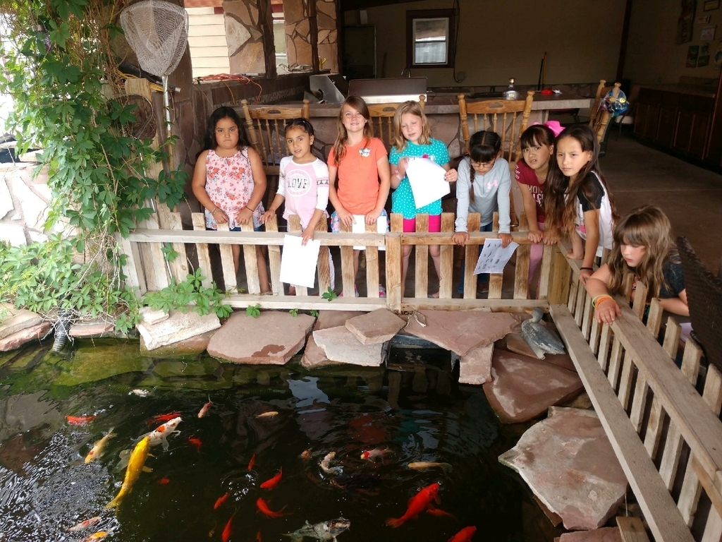 Koi & goldfish in fresh water.