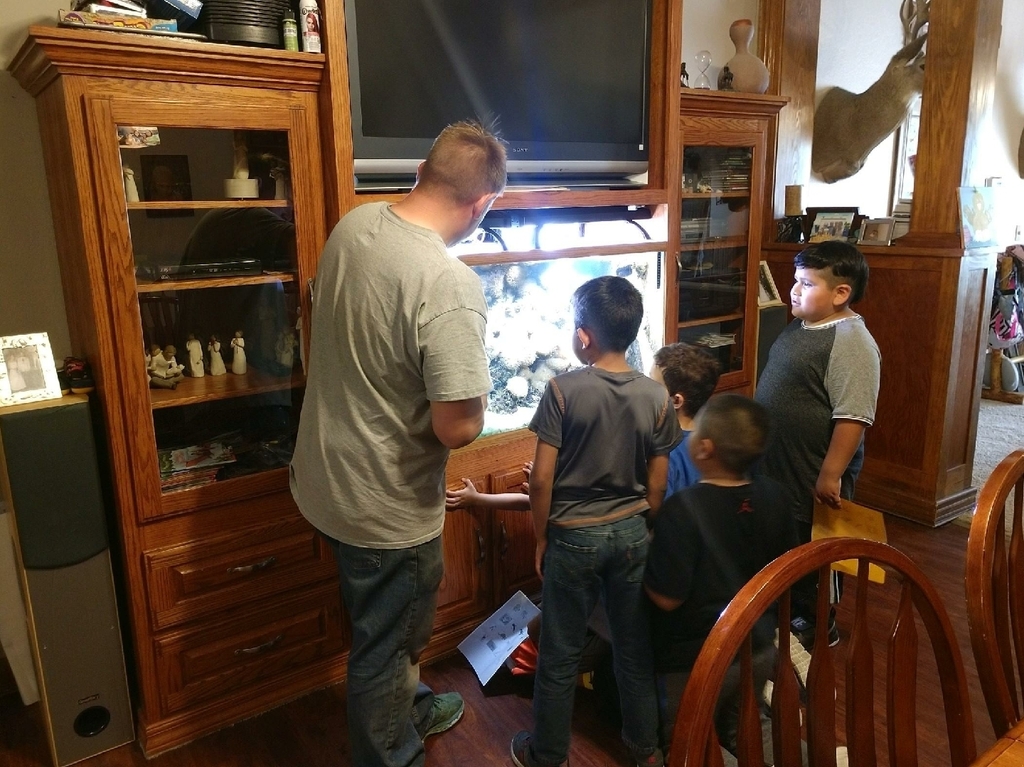 Travis telling about the saltwater aquarium.