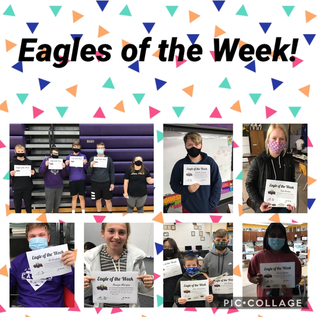 Eagle of the week