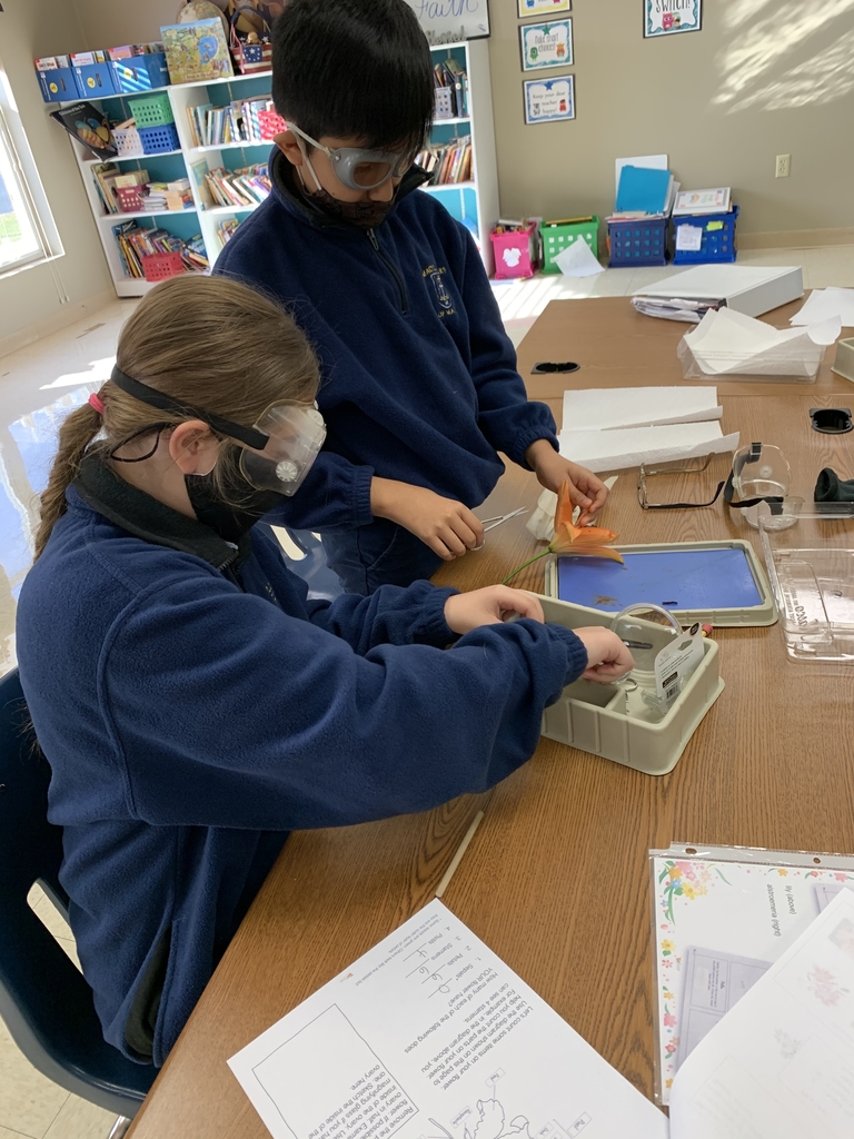 Flower dissection