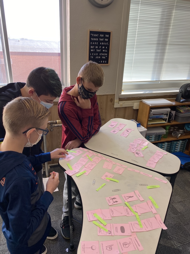 Card sort