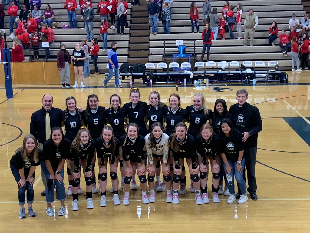 Lady pirates