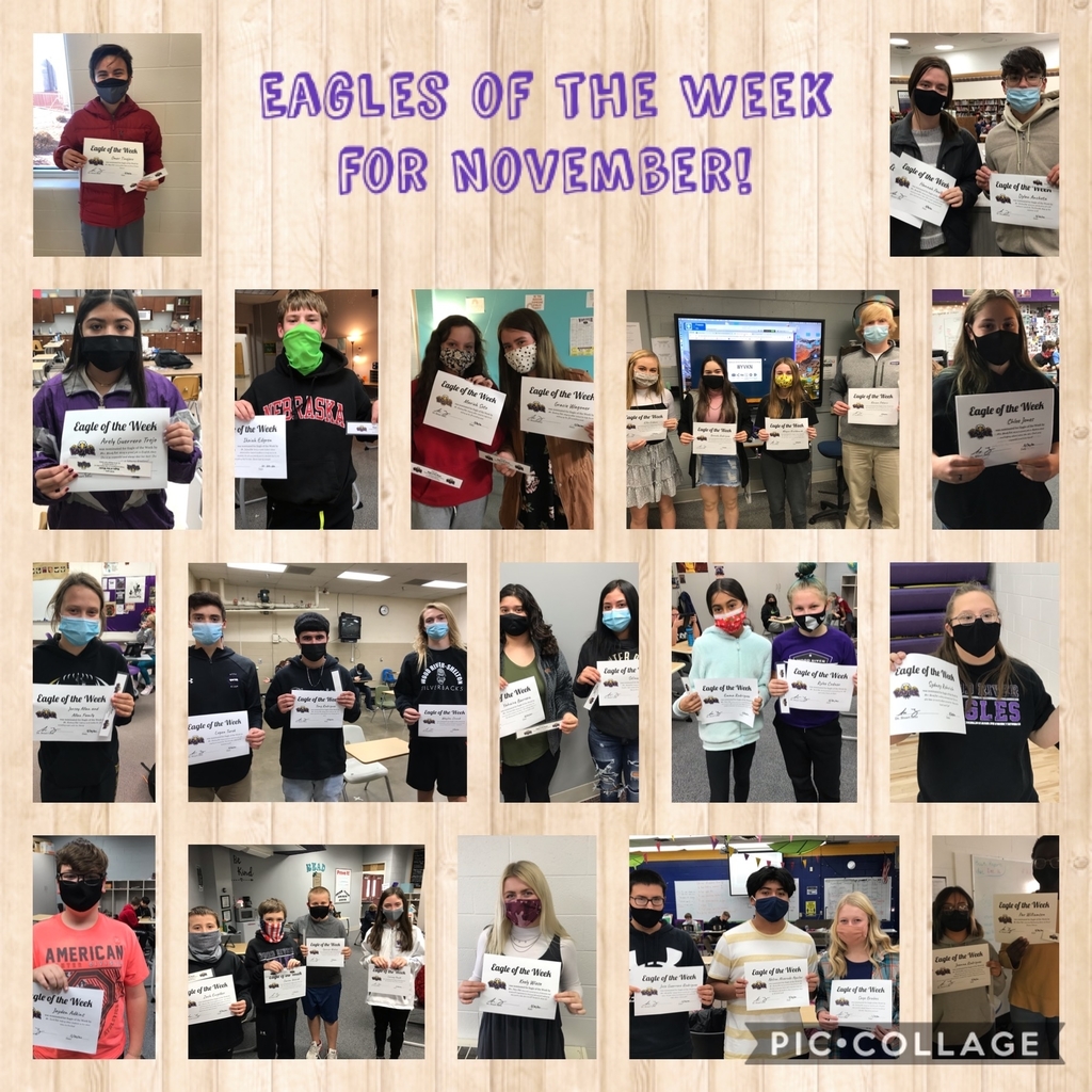 Eagle of the week