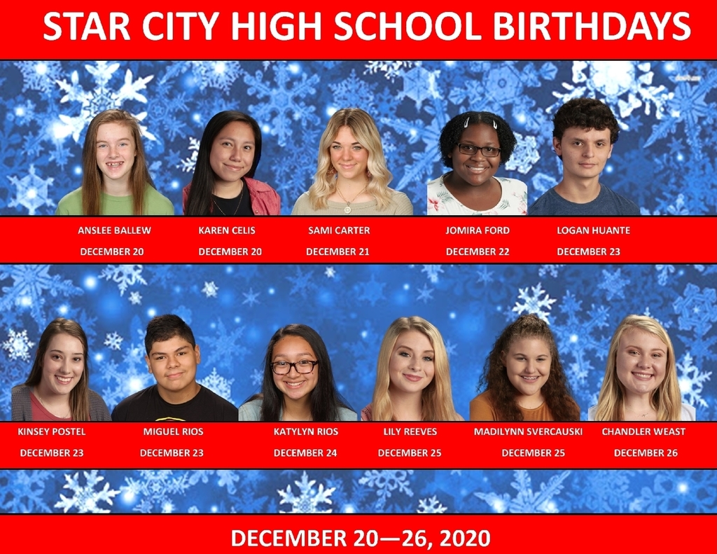 schsbdaysxmas