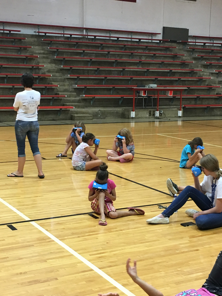 Exploring ocean wildlife.