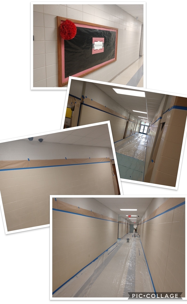 2018-2019 paint