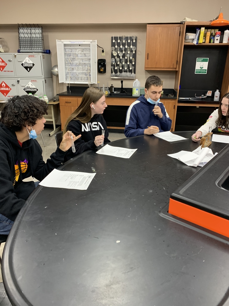 Working on their report!