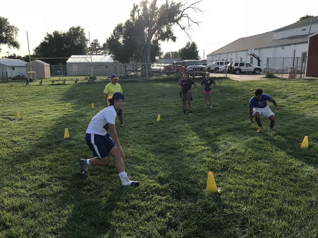 Pro agility 