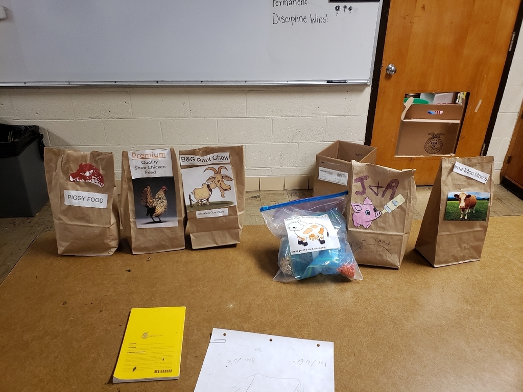 feed bags