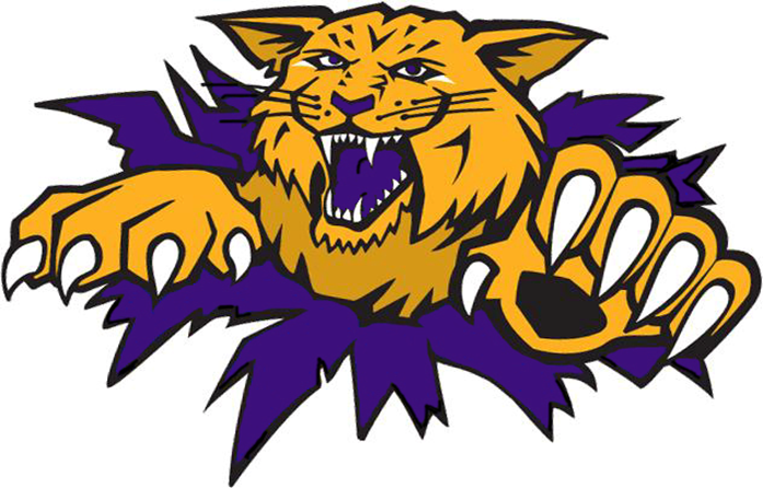 SHS
