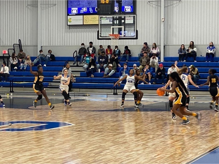 lady dogs