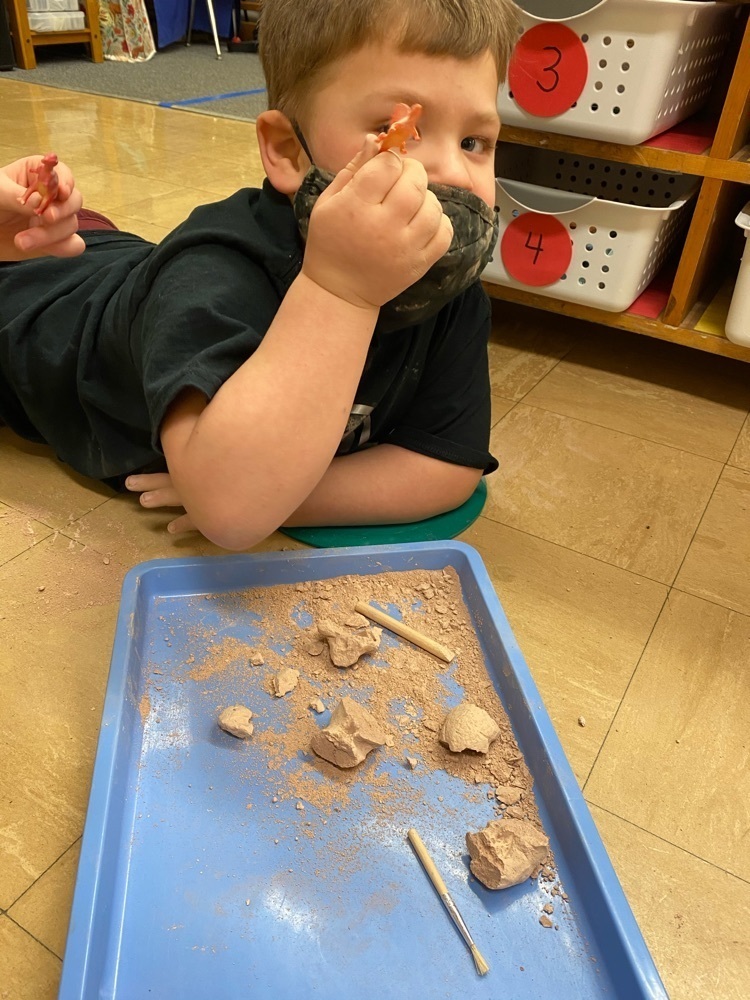 We all found different dinosaurs in our eggs!