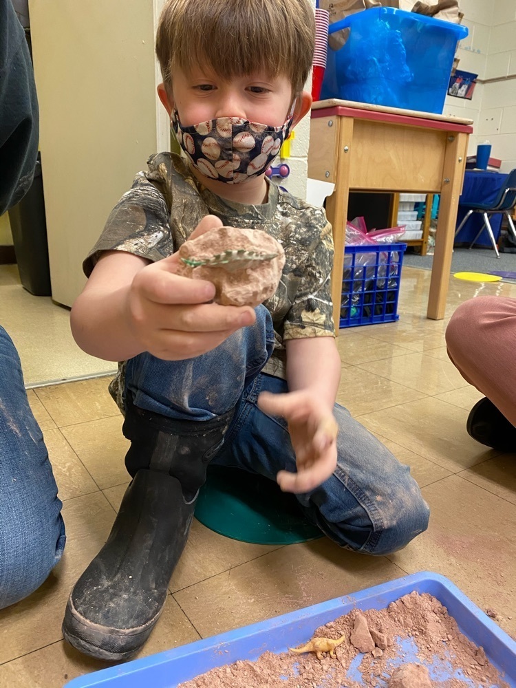 It’s a stegosaurus!