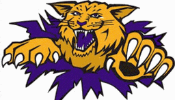 Go Cats