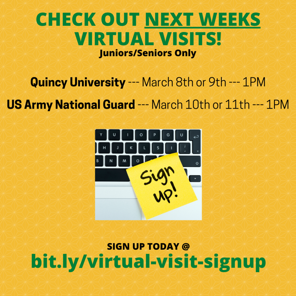 Virtual Visits
