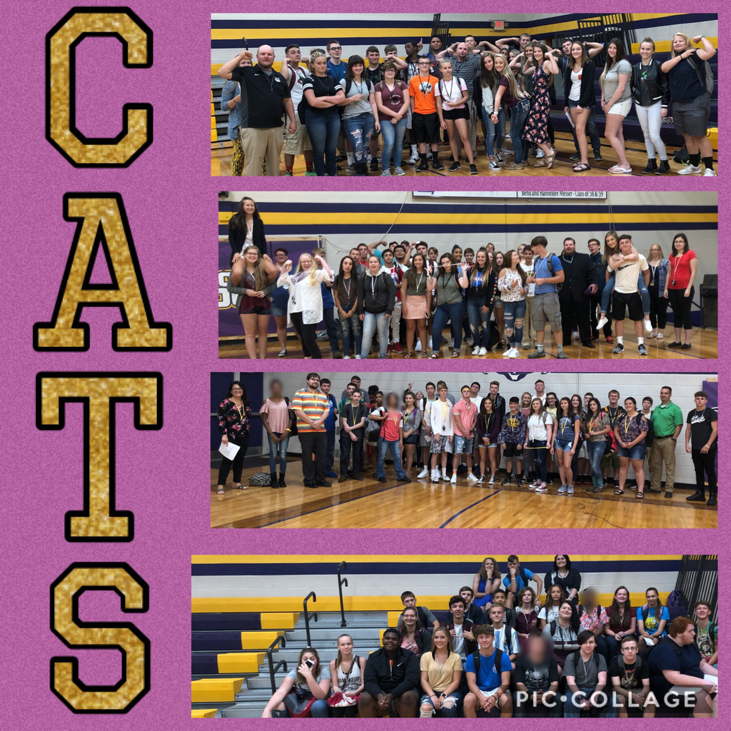 CATS