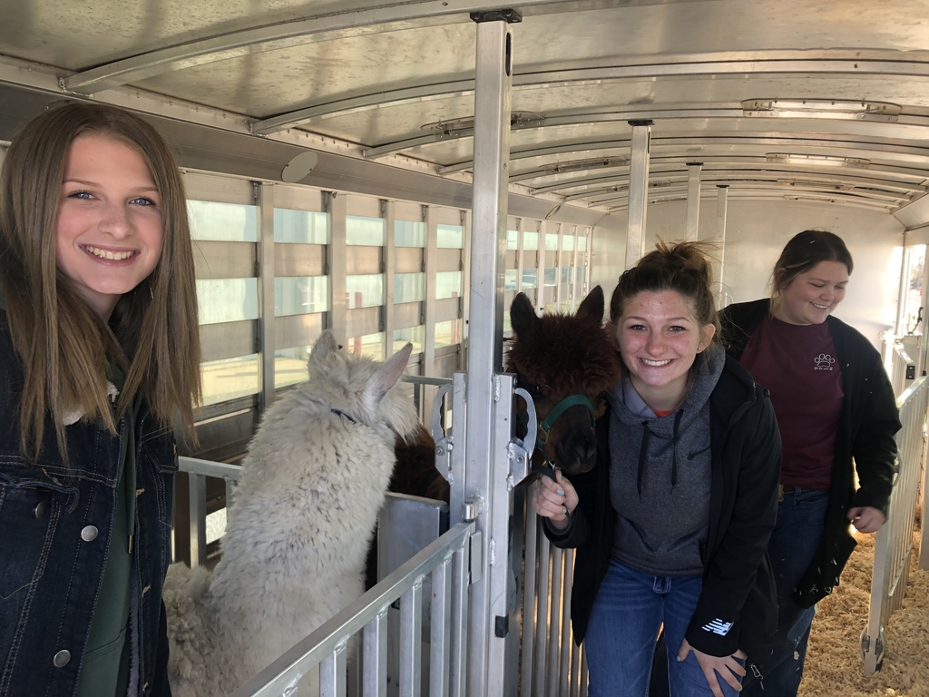 Petting zoo