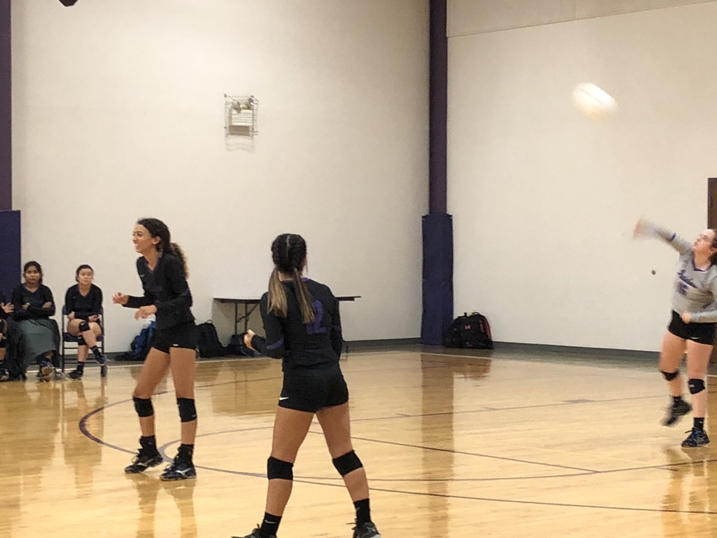 VB