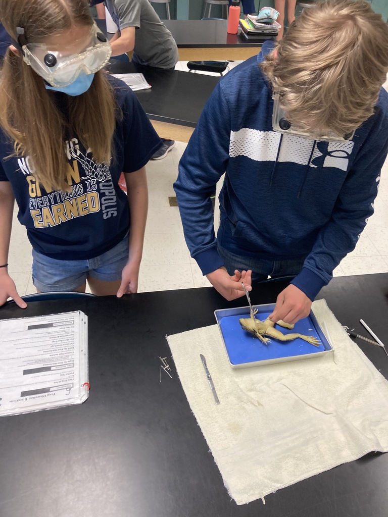 7th Grade Science Class
