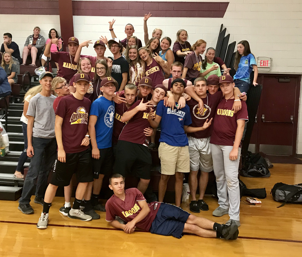 Volleyball Student Fan Section