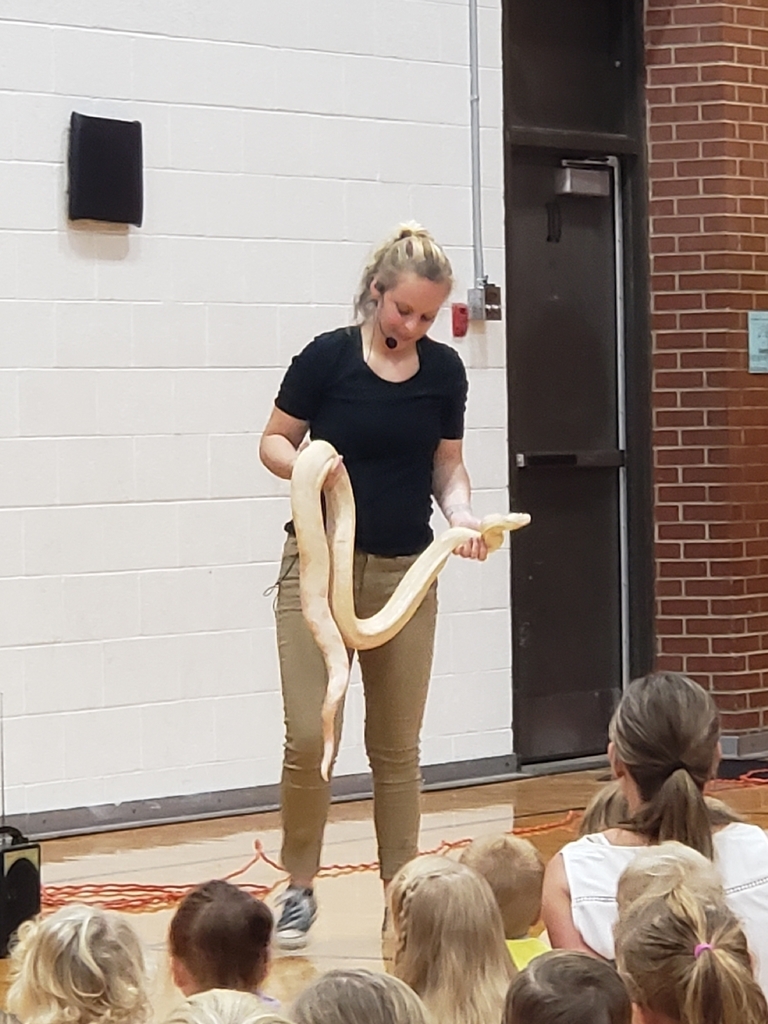 Snake!