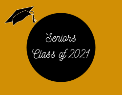 Seniors