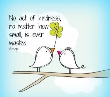 no_act_of_kindness2.jpg
