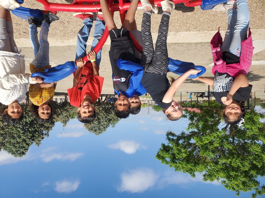 group seesaw