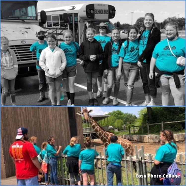 class photo, kids stand with giraffe