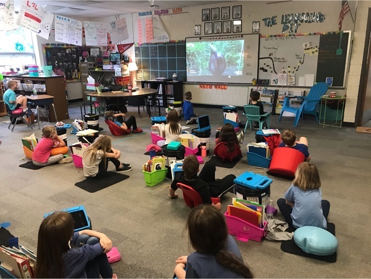 virtual field trip to Melbourne Zoo
