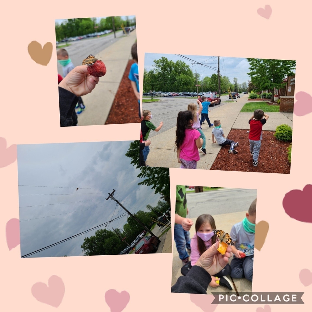 butterfly release