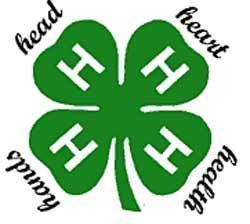 4H