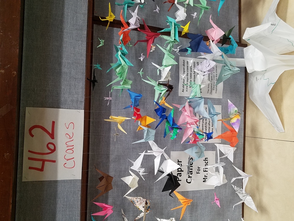The book Sadako and the 1000 Paper Cranes was the inspeation for the challenge.