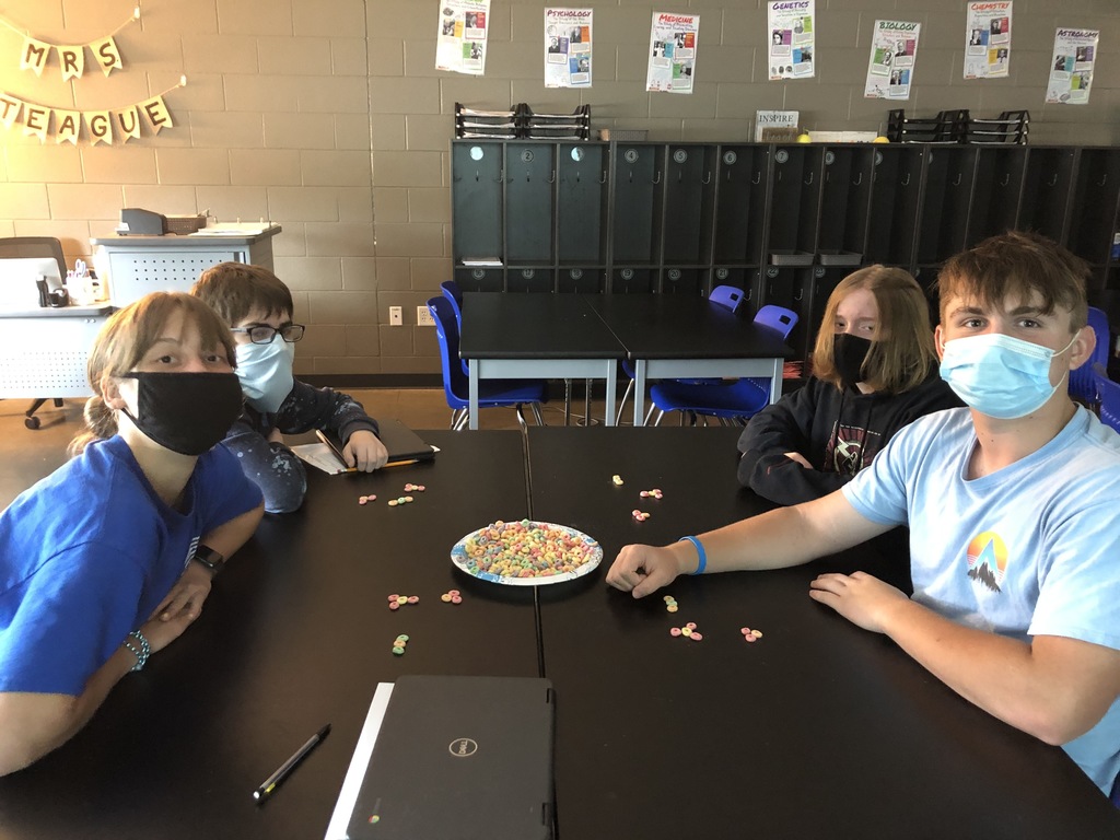 Fruity Compounds - Students created models of common compounds with fruit loops.