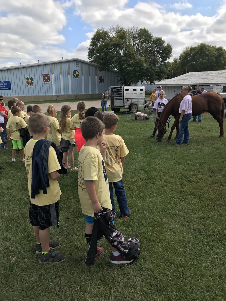 Farm animal safety