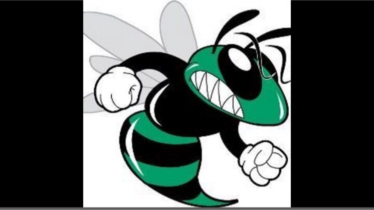 hornets