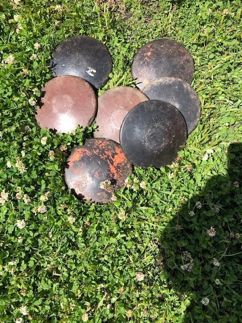 Various weights practice discus.