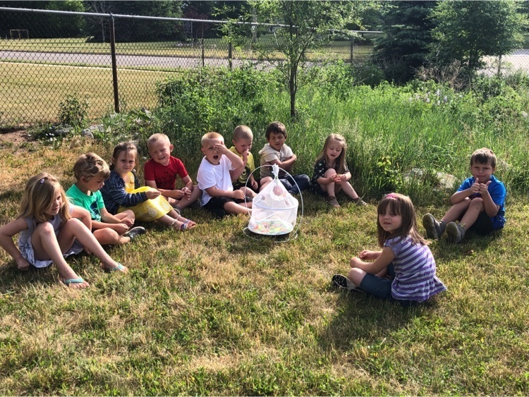 Getting ready to release the butterflies we watched since they were caterpillars!