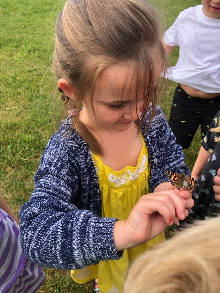 “Ocean” the butterfly enjoyed hanging around for some extra time with us!